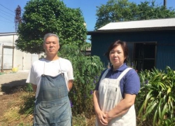高台ブロイラー